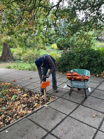 Weekly catch up with garden and propagation