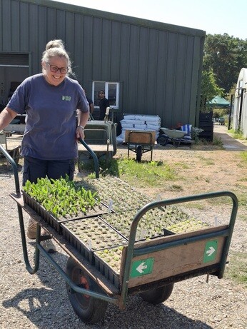 Weekly catch up with garden and propagation Weekly catch up with garden and propagation