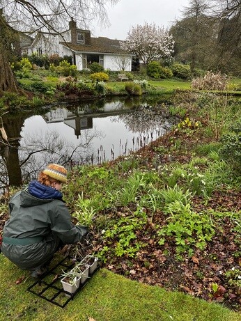Weekly catch up with garden & propagation