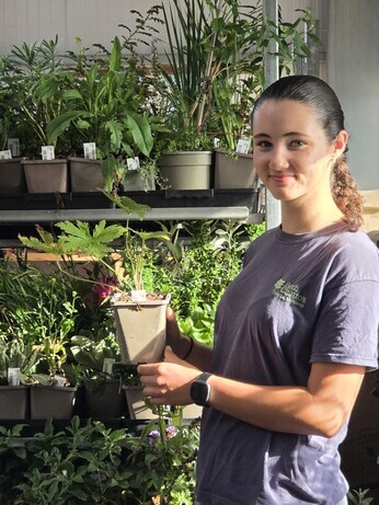 Weekly catchup with garden and propagation Weekly catchup with garden and propagation