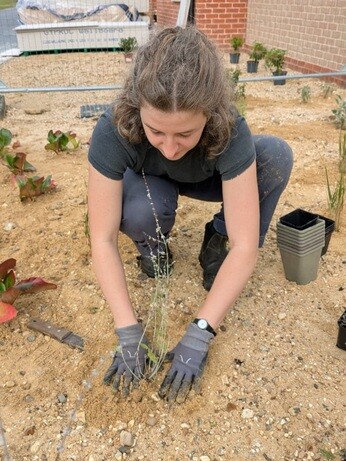 Weekly catch up with garden & propagation