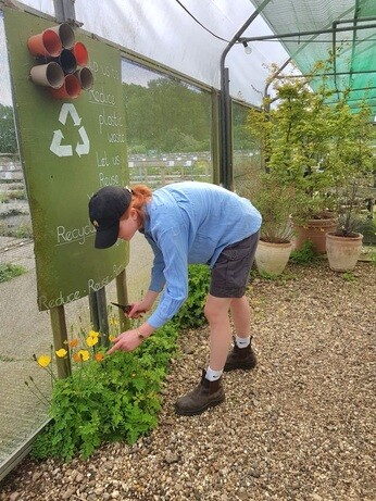 Weekly catch up with garden and propagation