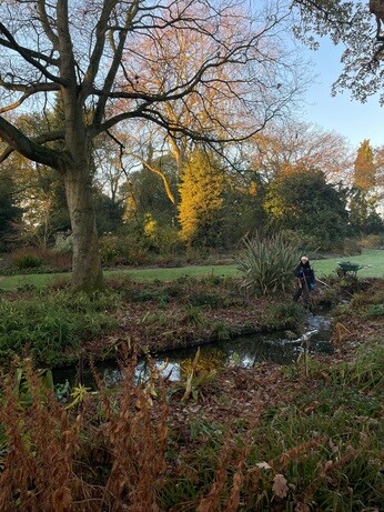 Weekly catch up with garden & propagation