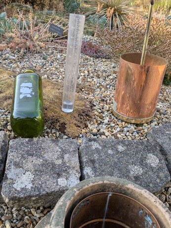Weekly catch up with garden and propagation Weekly catch up with garden and propagation