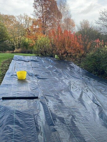 Weekly catch up with garden & propagation