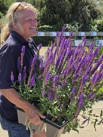 Weekly catch up with garden and propagation
