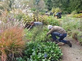 This week in the garden- mid October