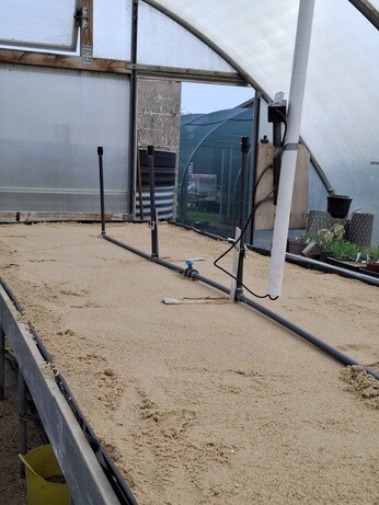 Weekly catch up with garden & propagation