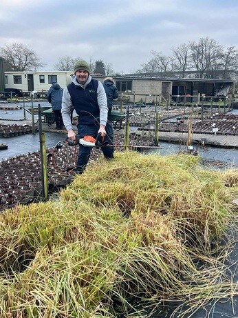 Weekly catch up with garden & propagation