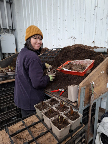 Weekly catch up with garden & propagation