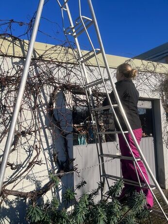 A look back at 2025 with the garden team A look back at 2025 with the garden team