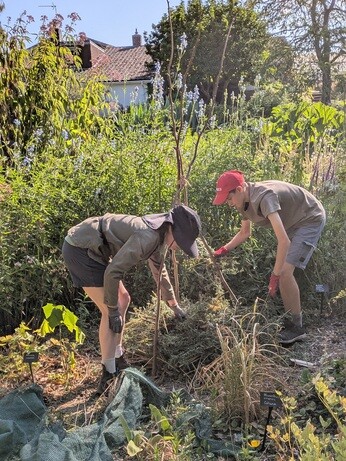 Weekly catchup with garden and propagation Weekly catchup with garden and propagation