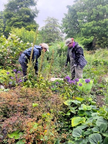 Weekly catch up with garden & propagation