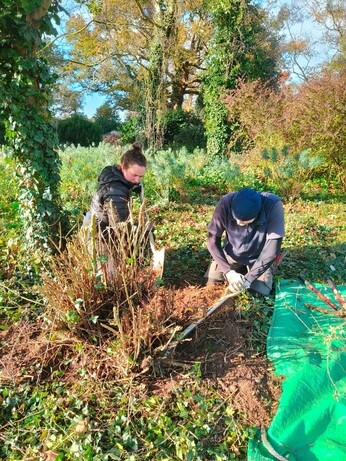 Weekly catch up with garden & propagation