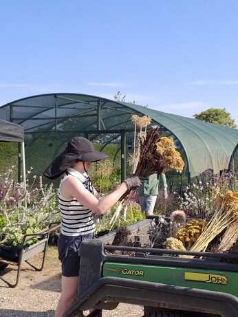 Weekly catch up with garden and propagation Weekly catch up with garden and propagation
