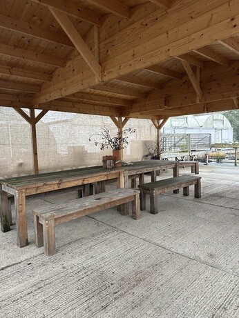 Weekly catch up with garden & propagation