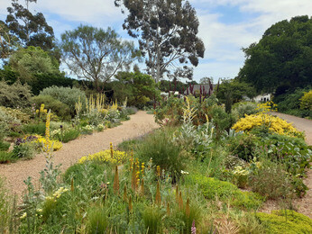 Gravel Garden Creation and Maintenance