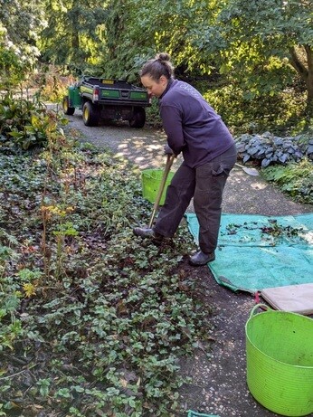 Weekly catch up with garden and propagation