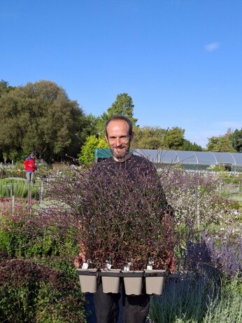 Weekly catch up with garden and propagation Weekly catch up with garden and propagation