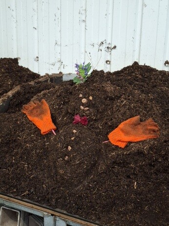 Weekly catch up with garden & propagation Weekly catch up with garden & propagation