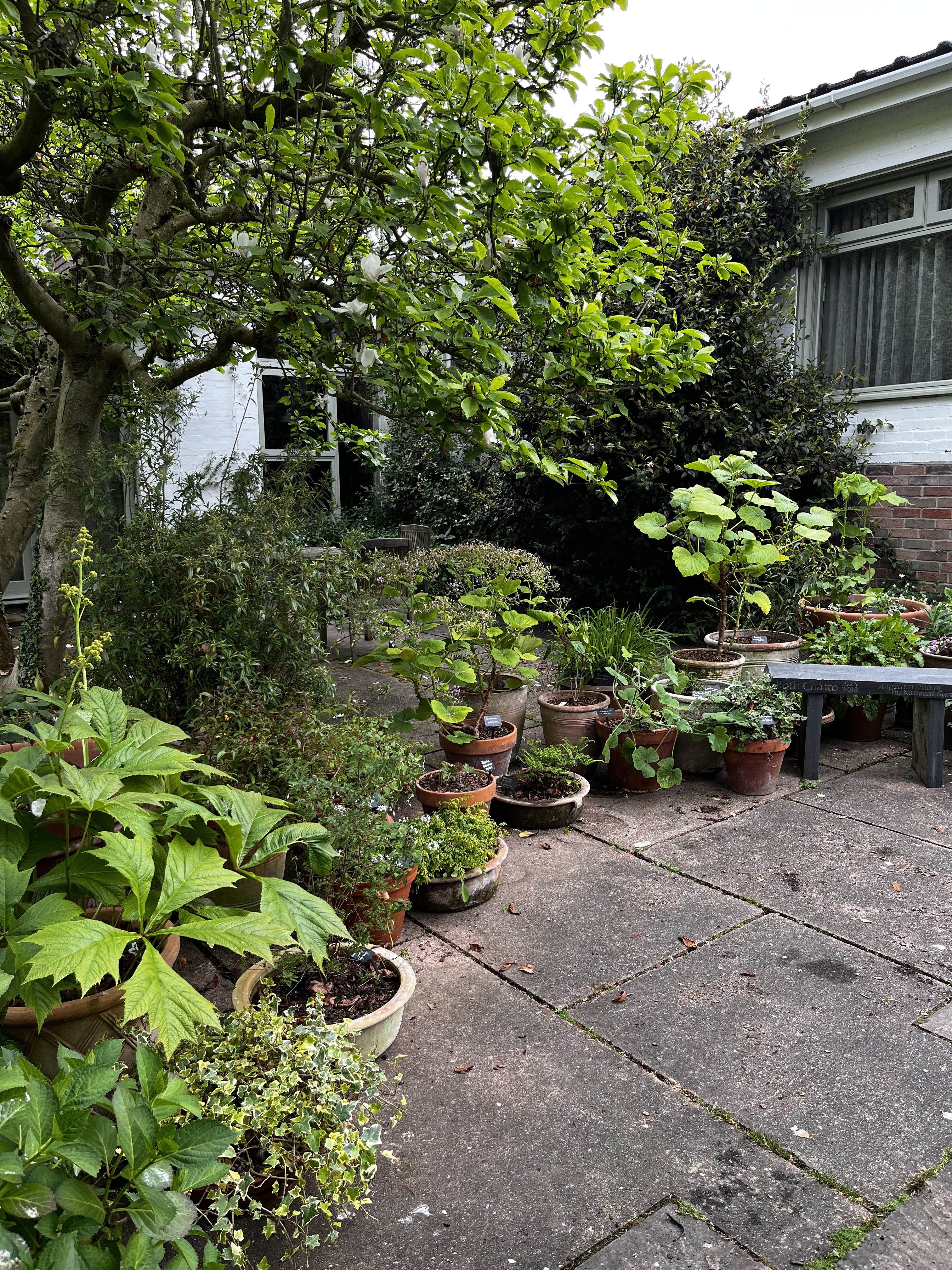 Weekly catch up with garden & propagation