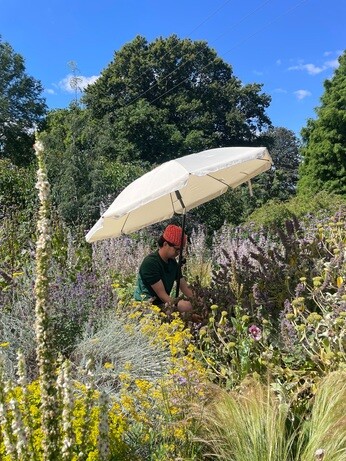 Weekly catch up with garden and propagation