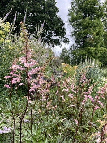 Weekly catch up with garden & propagation