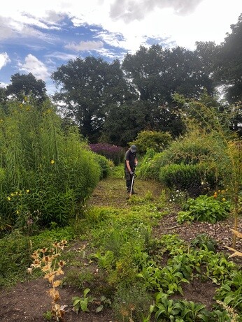 Weekly catch up with garden & propagation
