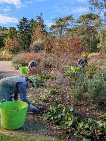 Weekly catch up with garden & propagation