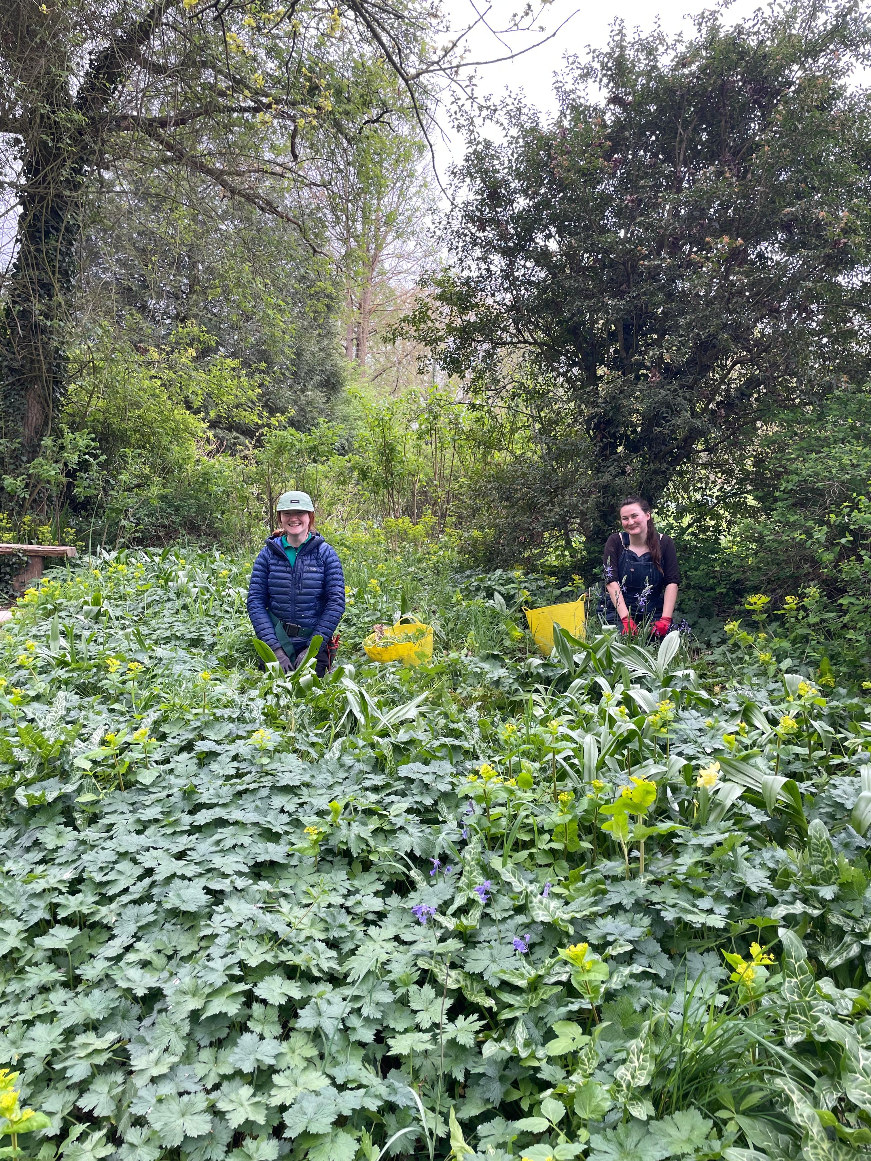 Weekly catch up with garden & propagation