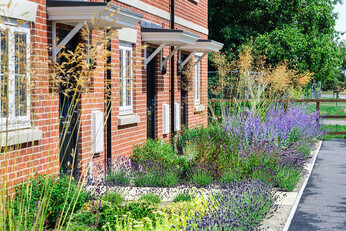 Planting at Chattowood Housing Development