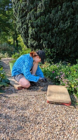 Weekly catch up with garden and propagation