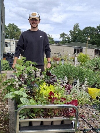 Weekly catch up with garden and propagation