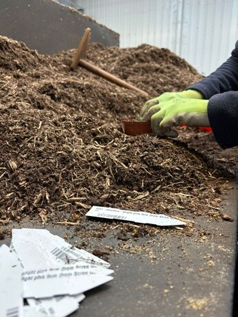 Weekly catch up with garden & propagation