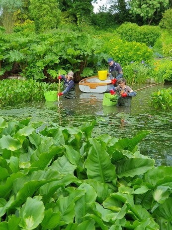 Weekly catch up with garden & propagation