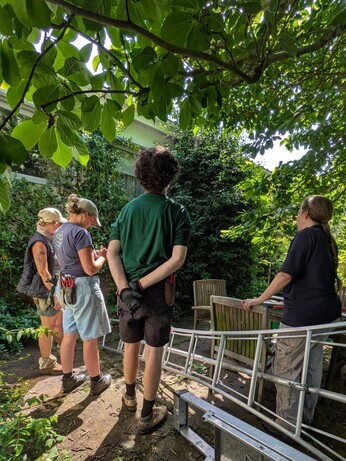 Weekly catch up with garden and propagation