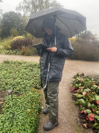 Weekly catch up with garden & propagation Weekly catch up with garden & propagation