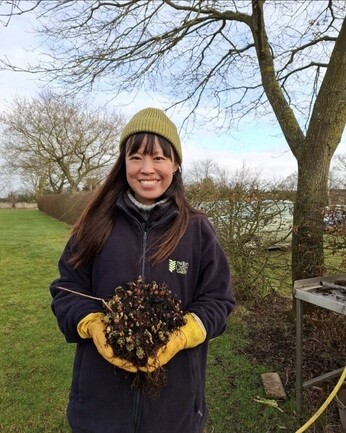 Weekly catch up with garden & propagation