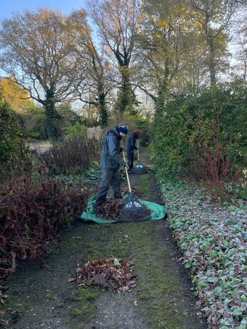 Weekly catch up with garden & propagation