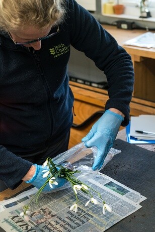 Weekly catch up with garden & propagation