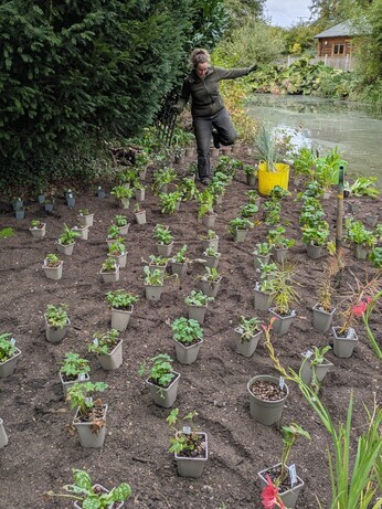 Weekly catch up with garden and propagation