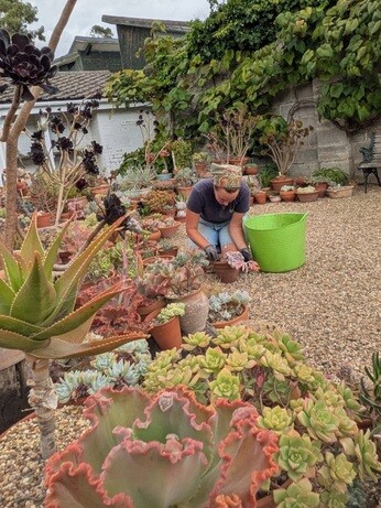 Weekly catch up with garden and propagation Weekly catch up with garden and propagation