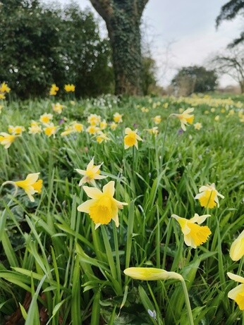 Weekly catch up with garden & propagation Weekly catch up with garden & propagation