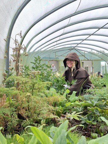 Weekly catch up with garden & propagation