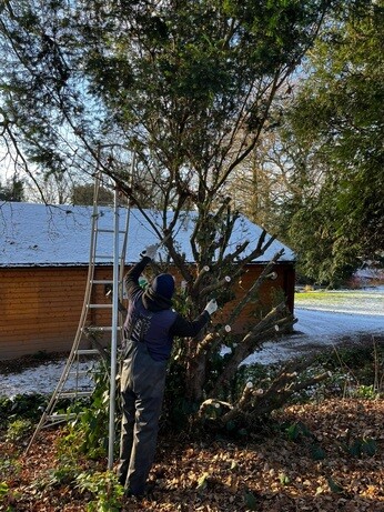 Weekly catch up with garden & propagation