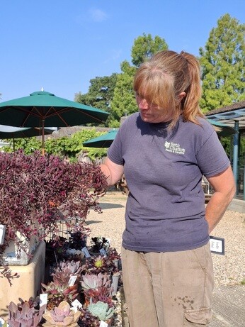 Weekly catch up with garden and propagation Weekly catch up with garden and propagation