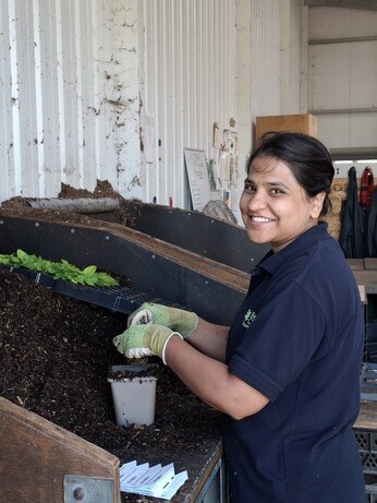 Weekly catch up with garden and propagation