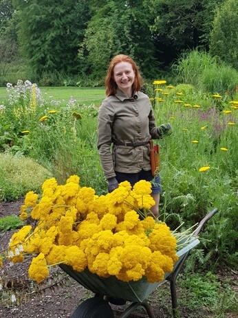 Weekly catch up with garden and propagation