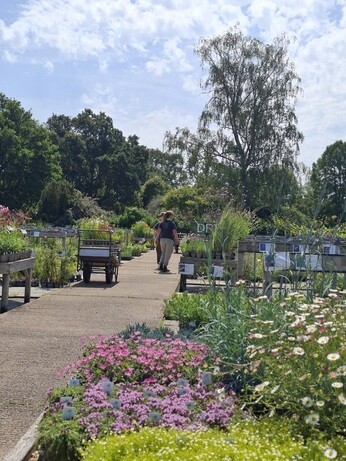 Weekly catch up with garden and propagation