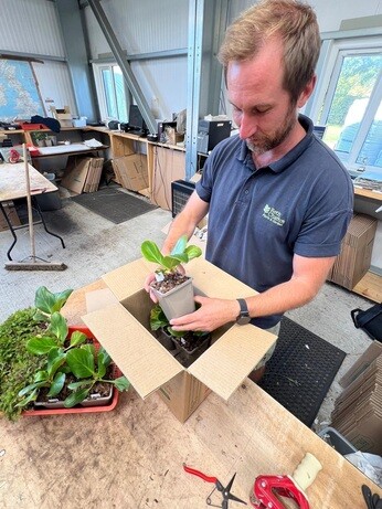 Weekly catch up with garden & propagation